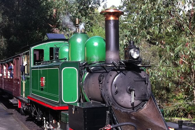 [Private Tour] Healesville Sanctuary Wildlife & Puffing Billy Steam Train - Puffing Billy Railway through forest and fern gullies