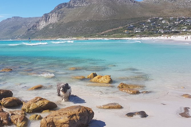 Private Tour Of Penguins, Cape Of Good Hope & Peninsula. - Muizenberg Beach offers a quick coastal introduction