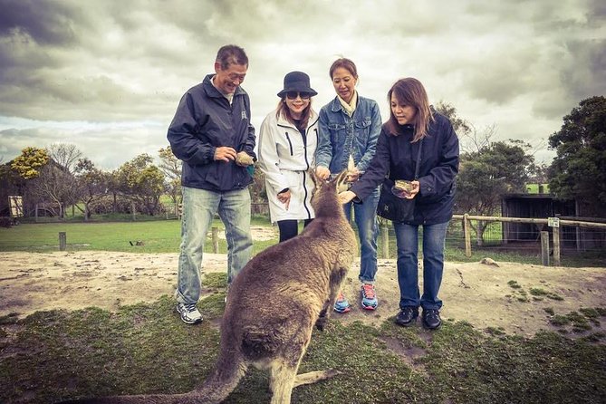 [Private Tour] “Penguin Parade” Phillip Island Tour. - The 10 to 11 hour schedule and what it means