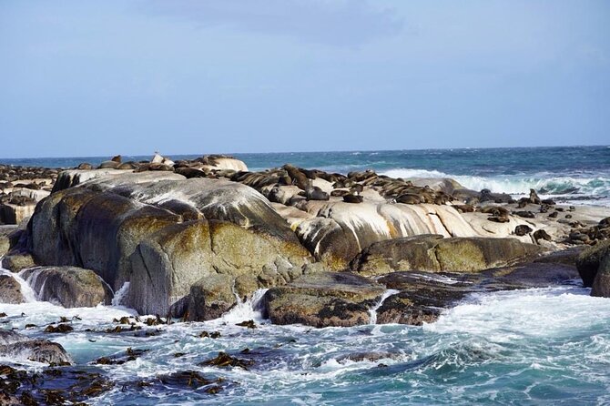 Private Tour: Penguins, Cape Point and Cape of Good Hope - Seal Island adds a short boat ride