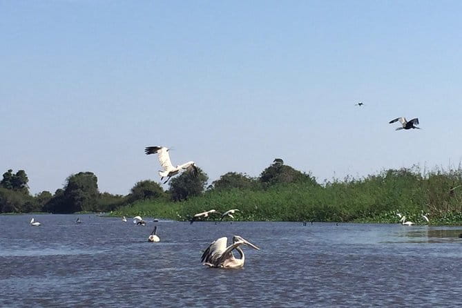 Private Tour Prek Toal Bird Sanctuary Off Beaten Track - Why Prek Toal feels different from a temple day