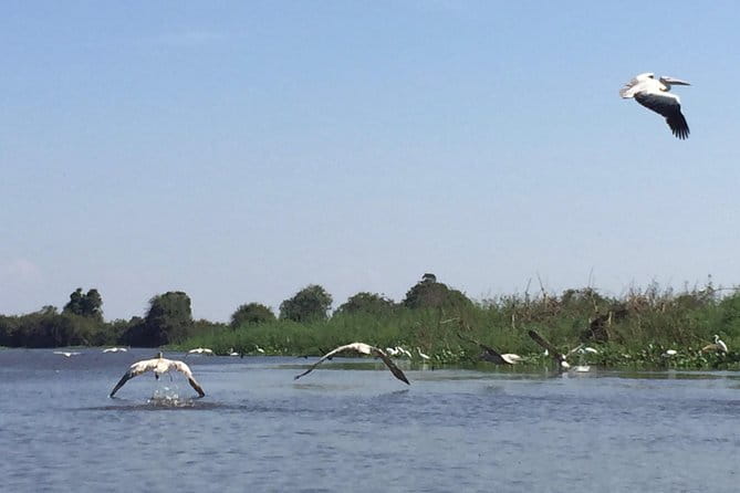 Private Tour Prek Toal Bird Sanctuary Off Beaten Track - A closer look at village life after lunch