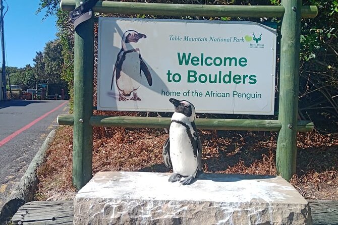 Private Tour: Table Mountain Boulder's Beach Penguin Cape Point - Camps Bay and Maiden’s Cove photo stop