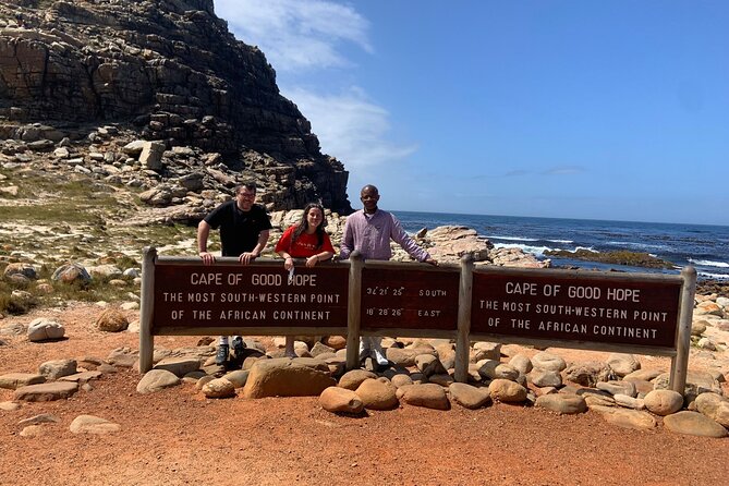 Private Tour: Table Mountain Boulder's Beach Penguin Cape Point - Hout Bay and the optional seal boat