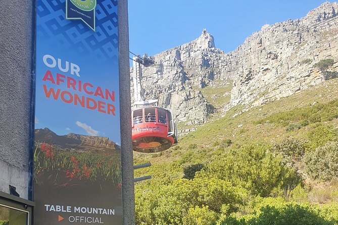 Private Tour: Table Mountain Boulder's Beach Penguin Cape Point - Cape of Good Hope, Africa’s famous corner
