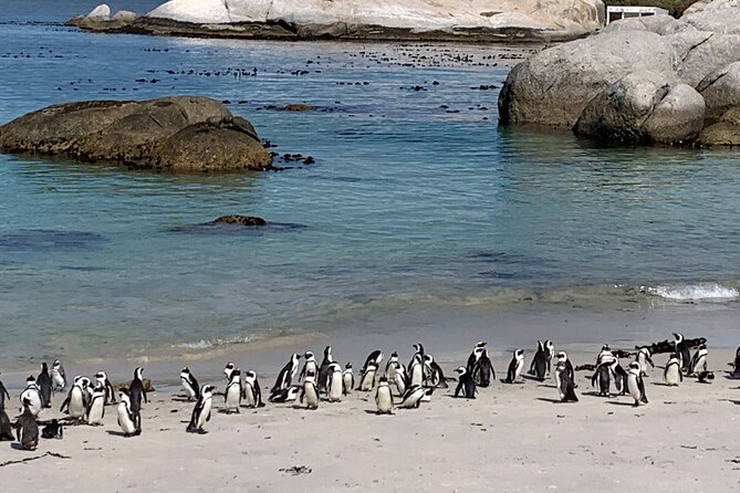 Private Tour: Table Mountain Boulder's Beach Penguin Cape Point - Table Mountain first, if the weather agrees
