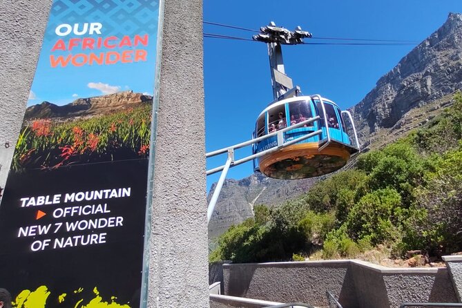 Private Tour:,Table Mountain ,Cape of Good hope & Penguins colony - Key points to know before booking