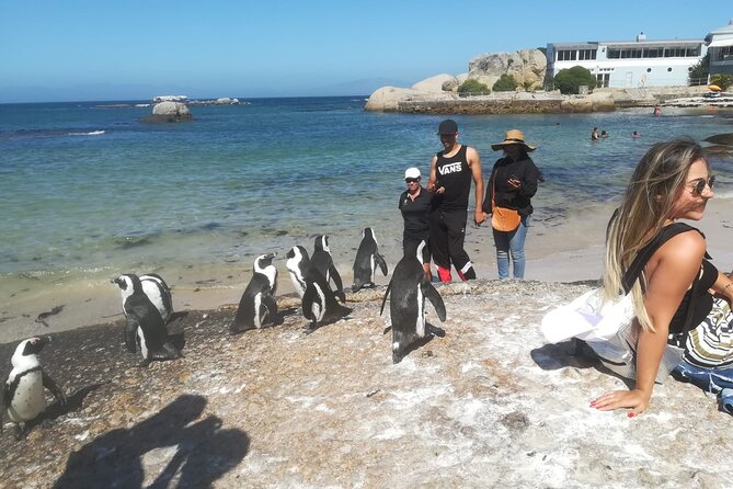 Private Tour:,Table Mountain ,Cape of Good hope & Penguins colony - Table Mountain gives the day a strong start