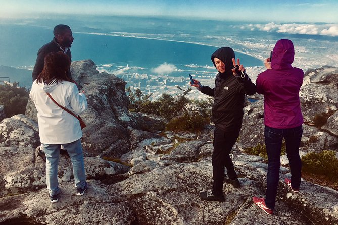 Private Tour: Table Mountain, Penguin Colony & Cape of Good Hope incl. Park Fees - What the $264.50 price really buys you