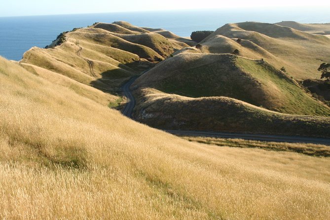 Private tour to Cape Kidnappers Gannet Colony - A glimpse of the golf course and Flat Rock