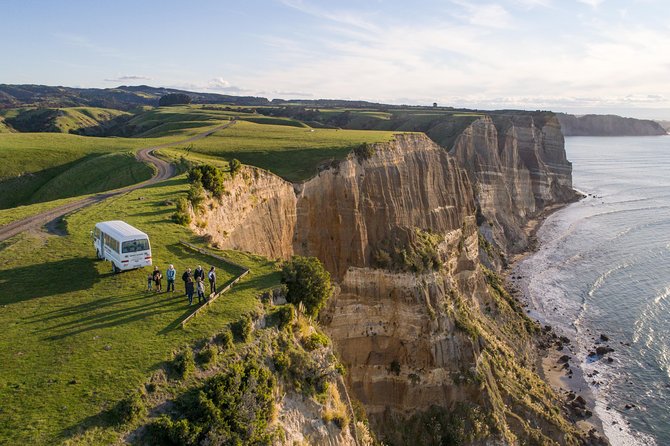 Private tour to Cape Kidnappers Gannet Colony - Lookouts, cliffs, and the Pacific views