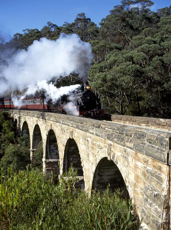 Private Tour to Dandenong Ranges & Puffing Billy Steam Train - Puffing Billy sets the tone for the day