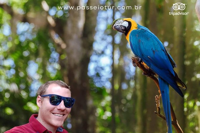 Private transport with guide to Brazil Falls + Bird Park - Starting at 7:00 a.m. in Foz do Iguaçu