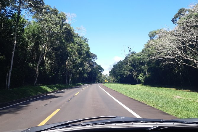 Private transport with guide to Brazil Falls + Bird Park - What makes Parque das Aves different