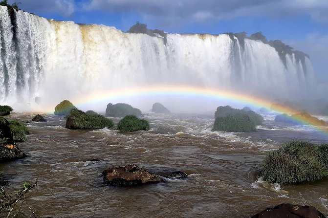 Private transport with guide to Brazil Falls + Bird Park - The value of a $150 private group tour