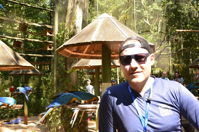 Private transport with guide to Brazil Falls + Bird Park - Walking the 1,500-meter Brazil Falls trail