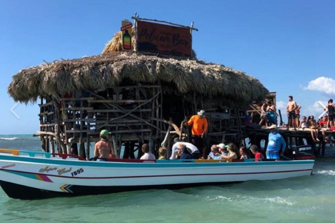 [PRIVATE] YS Falls, Black River, Pelican Bar - Entrance & Lunch - Three south-coast experiences in one private day