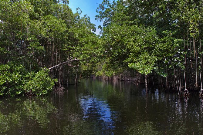 [PRIVATE] YS Falls, Black River, Pelican Bar - Entrance & Lunch - What the private format changes