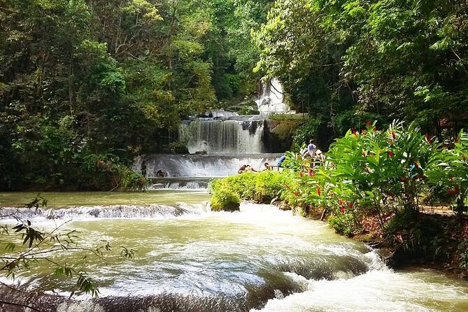 [PRIVATE] YS Falls, Black River, Pelican Bar - Entrance & Lunch - Lunch, drinks, and the details that affect value