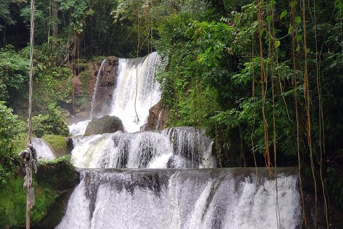 [PRIVATE] YS Falls, Black River, Pelican Bar - Entrance & Lunch - Should you book it?