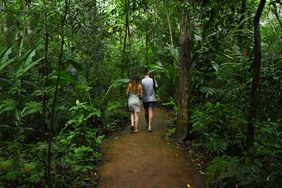 Puerto Iguazu: Iguaza Falls Brazilian Side & Bird Park Tour - Practical preparation for the day