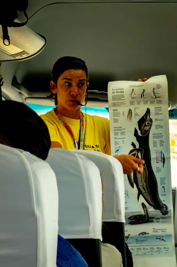 Puerto Madryn: Punta Tombo Walking Among Penguins Experience - A short Trelew stop breaks up the drive