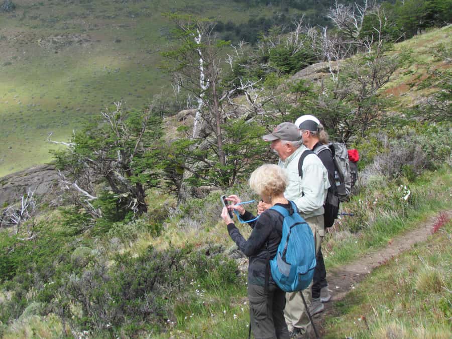Puerto Natales: Cerro Benitez Half-Day Hike with Condors - Who should book this hike?