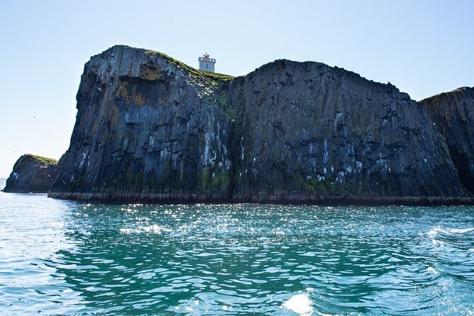 Puffin and Wildlife Boat Tour - What the one-hour wildlife ride feels like