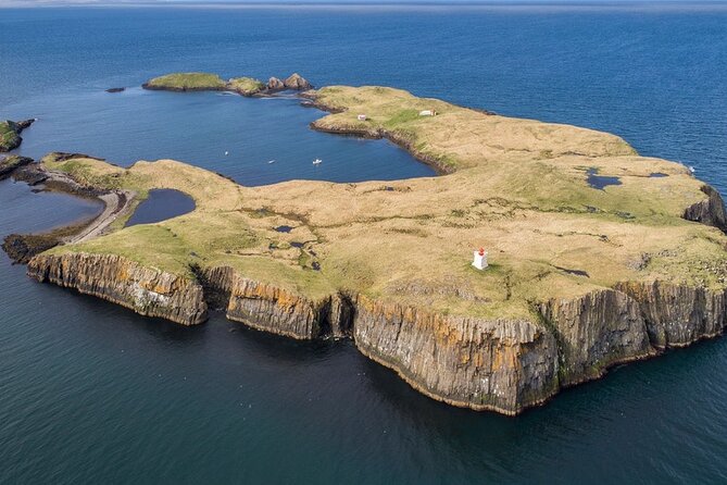 Puffin and Wildlife Boat Tour - A small group makes a difference