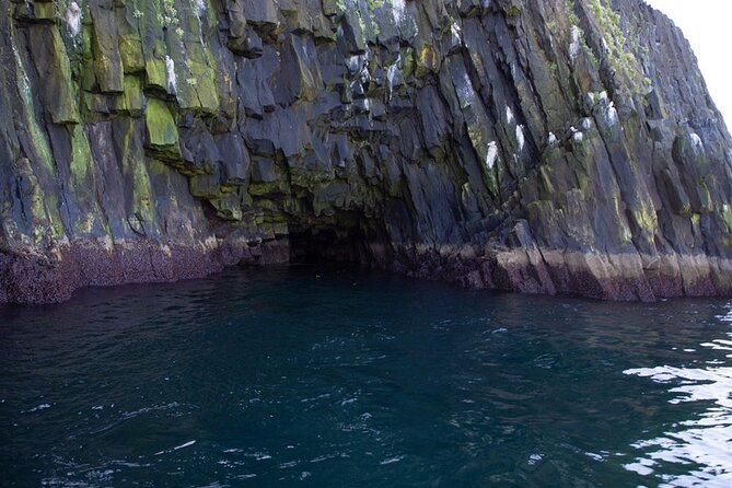 Puffin and Wildlife Boat Tour - Weather and the realities of an Icelandic boat trip