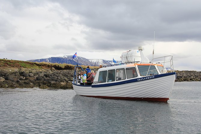 Puffin Cruise with Expert Tour Guide from Reykjavik - Guides who make the hour count