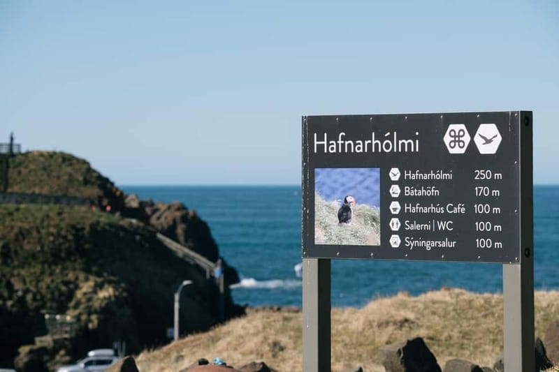 Puffin & Gufufoss Waterfall Tour from Seydisfjordur Port - Is $213 a fair price?