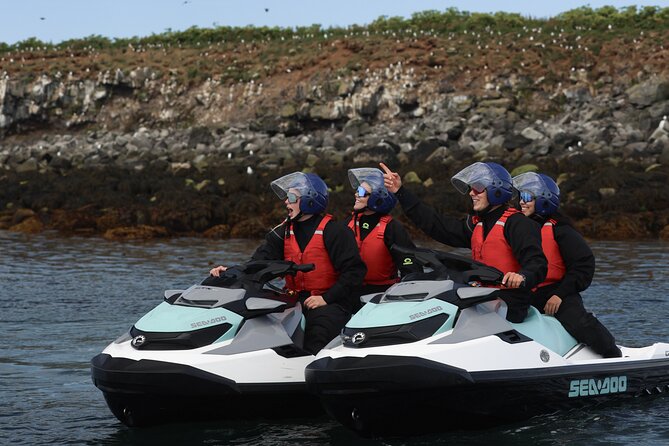 Puffin Jet ski tour in Reykjavík - Starting at Gufunesvegur