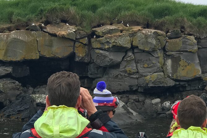 Puffin Watching Speedboat Express - Getting close to puffins around Videy Island