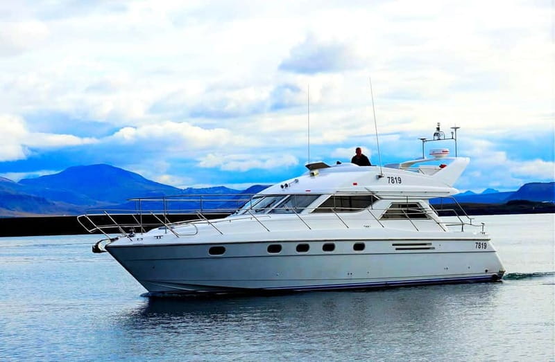 Puffin Watching Yacht Cruise from Downtown Reykjavík - Booking flexibility and practical details