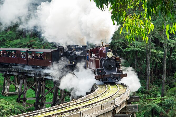 Puffing Billy And Healesville Sanctuary Scenic Tour - The Puffing Billy ride is the day’s big memory