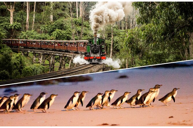 Puffing Billy and Penguin Parade Day Tour From Melbourne - Key points to know before you book