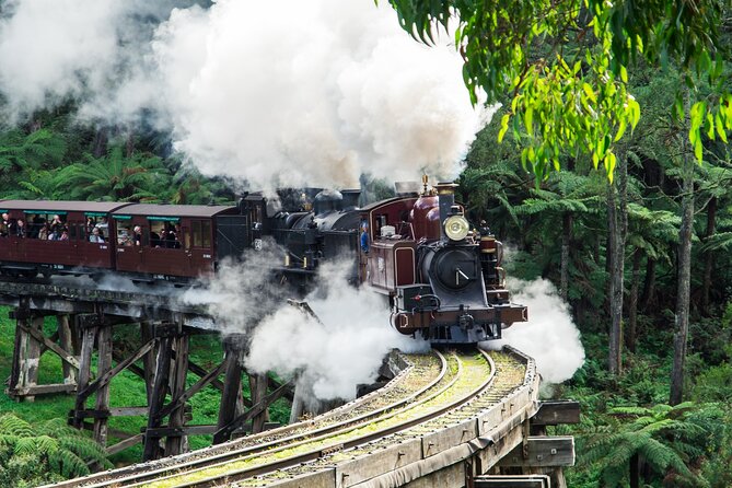 Puffing Billy And Phillip Island Penguin Parade Bus Tour - Key points to know before booking