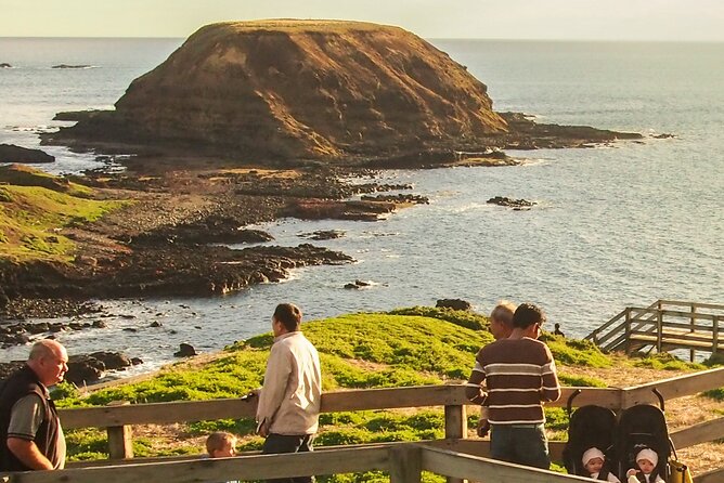 Puffing Billy And Phillip Island Penguin Parade Bus Tour - Two Victorian icons in one demanding day