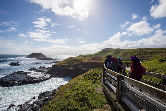Puffing Billy And Phillip Island Penguin Parade Bus Tour - Waiting for Phillip Island’s little penguins