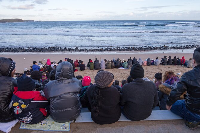 Puffing Billy And Phillip Island Penguin Parade Bus Tour - The guide can shape the whole day
