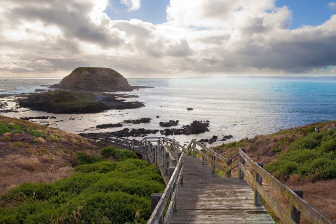 Puffing Billy And Phillip Island Penguin Parade Bus Tour - Is the $171.42 price fair?