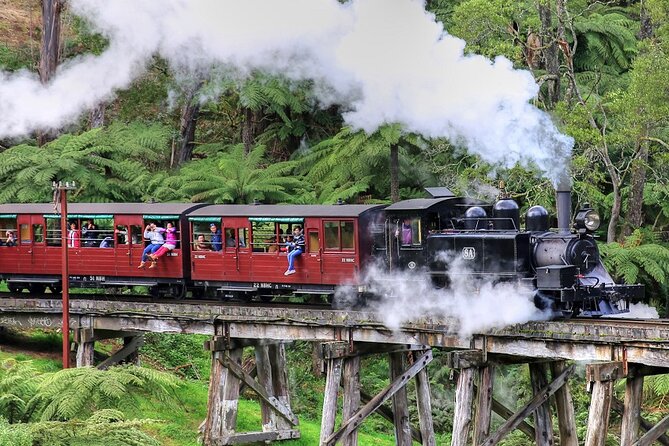 Puffing Billy And Phillip Island Penguin Parade Bus Tour - A coastal change of pace at the Nobbies