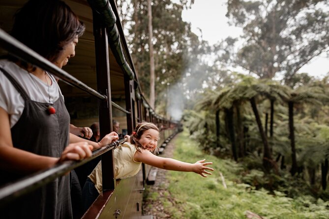 Puffing Billy, Forest Trails and Yarra Valley Discovery Tour - Warburton for lunch and a riverside pause