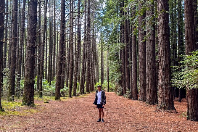 Puffing Billy, Forest Trails and Yarra Valley Discovery Tour - Timing, comfort, and what to bring