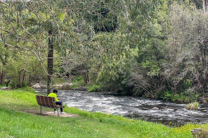 Puffing Billy, Forest Trails and Yarra Valley Discovery Tour - Who should book this tour