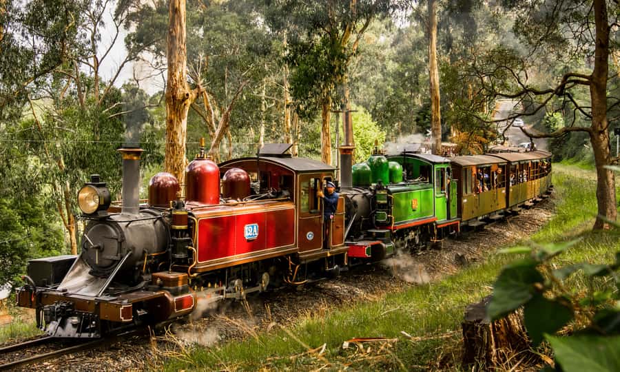 Puffing Billy, Forest Trails & Yarra Valley Discovery Tour - Key points to know before you book