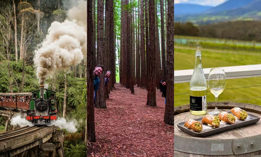 Puffing Billy, Forest Trails & Yarra Valley Discovery Tour - Puffing Billy and the Monbulk Creek bridge