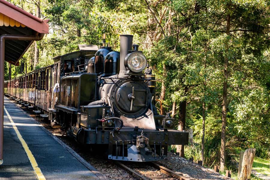 Puffing Billy, Healesville Sanctuary & Chocolatier - Puffing Billy from Belgrave to Menzies Creek