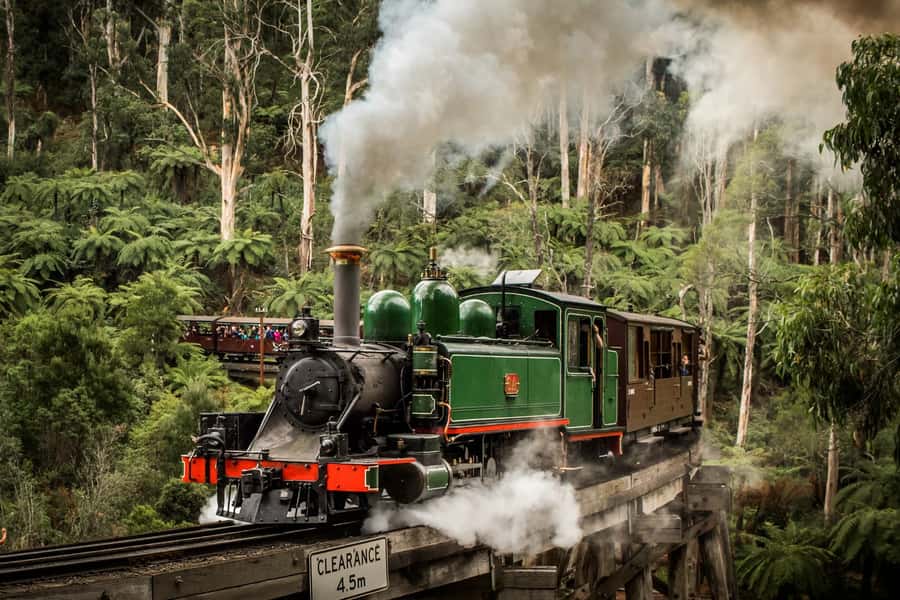 Puffing Billy Penguin Parade Winery Chocolaterie All-in-One - Key points to know before booking